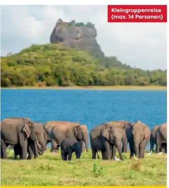 Billa Reisen Billa-Reisen Sri Lanka-Rundreise & Baden Angebot