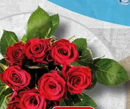 Spar Rosen Angebot
