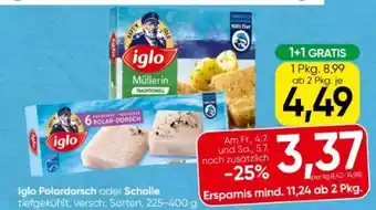 Spar Iglo Polardorsch Angebot