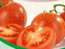 Spar Spar Rispentomaten Angebot