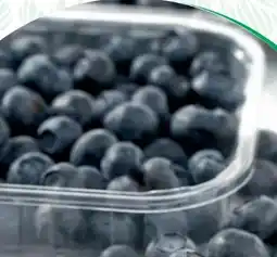 SPAR Gourmet Spar Natur pur Bio-Heidelbeeren Angebot