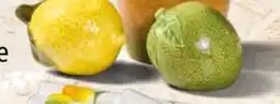Interspar Dekorative Zitrusfrüchte aus Keramik Angebot