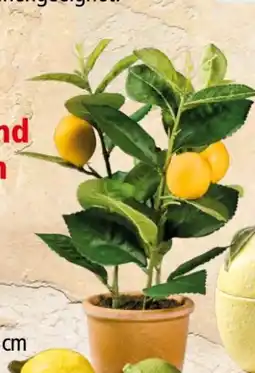 Interspar Künstliche Zitronen-Topfpflanze Angebot