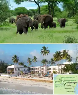 Hofer Reisen Hofer-Reisen Tansania-Sansibar Safari-Baden Angebot