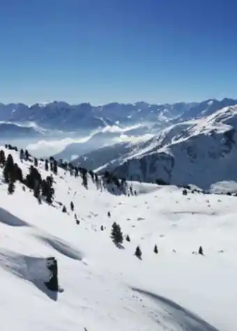 Hofer Reisen Hofer-Reisen Fügen im Zillertal-Tirol Angebot