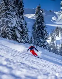 Hofer Reisen Hofer-Reisen Kärnten-Nassfeld-Pressegger See Schlanitzen Angebot