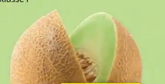 Hofer Hofer Marktplatz Zuckermelone Galia Angebot