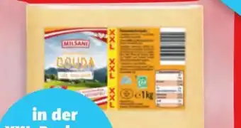 Hofer Milsani Gouda Angebot