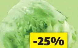 Hofer Zurück zum Ursprung Bio-Eisbergsalat Angebot