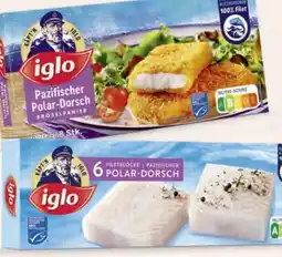 Hofer Iglo Polardorsch Angebot