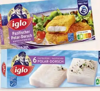 Hofer Iglo Polardorsch Angebot