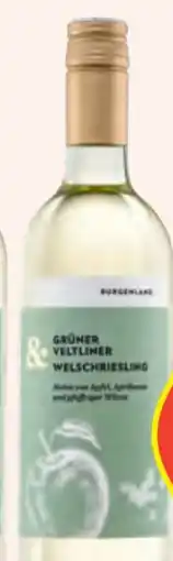 Hofer Gruner Veltliner Welschriesling Angebot