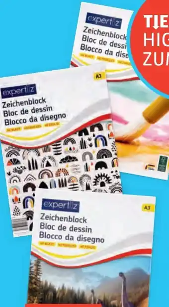 Hofer Expertiz Zeichenblock Angebot