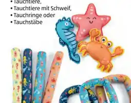 Hofer Crane Tauchzubehör Angebot