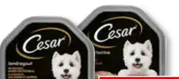 Unimarkt Cesar Hundenahrung Schale Angebot