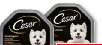 Unimarkt Cesar Hundenahrung Schale Angebot