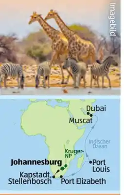 Hofer Hofer-Reisen Rundreise Safari-Kreuzfahrt von Südafrika nach Dubai Angebot