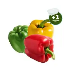 PENNY Paprika Mix Penny Angebot