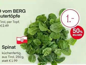 MPreis Spinat 250 g Angebot