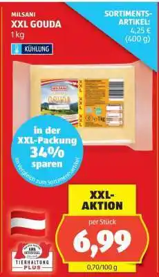 Hofer MILSANI XXL GOUDA Angebot