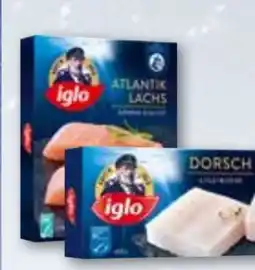 T&G Iglo Dorsch Angebot