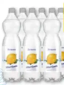T&G Silberquelle Limonaden Angebot