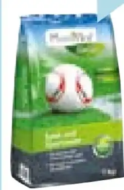 Hellweg Plantiflor Spiel- und Sportrasensamen Angebot
