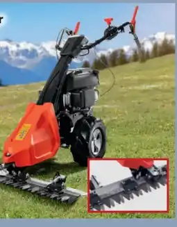 Norma Scheppach Benzin-Balkenmäher BMS196-88 Angebot