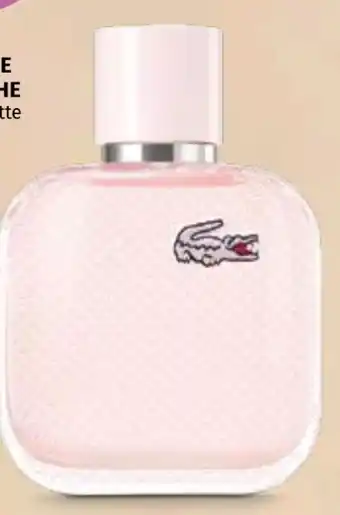 Müller Lacoste L.12.12 Rose EdT Angebot