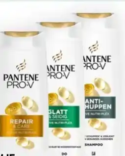 Bipa Pantene Pro-V Shampoo Angebot