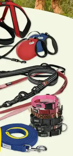 Fressnapf AniOne Rollleine Angebot