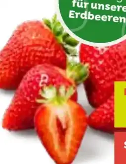 ADEG Erdbeeren Angebot