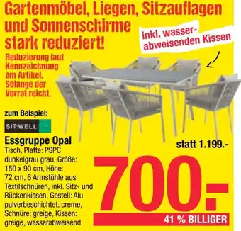 Maximarkt Essgruppe Opal Angebot