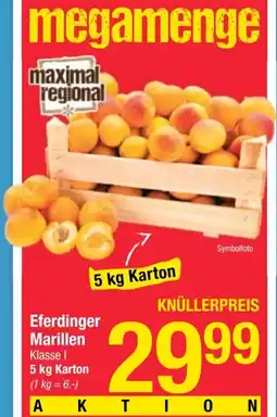 Maximarkt Eferdinger Marillen Angebot