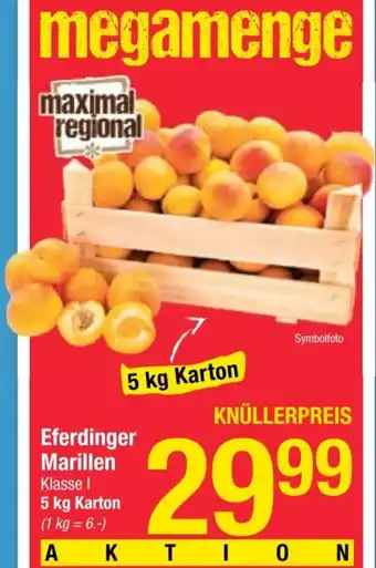 Maximarkt Eferdinger Marillen Angebot