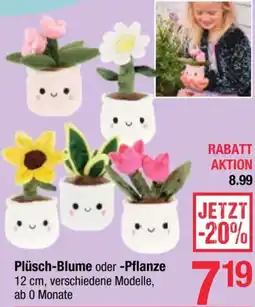 Maximarkt Plüsch-Blume oder -Pflanze Angebot