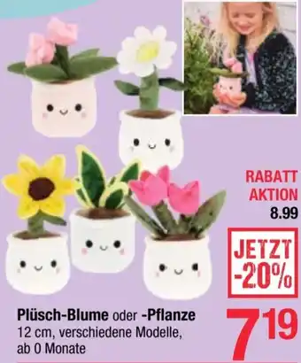 Maximarkt Plüsch-Blume oder -Pflanze Angebot