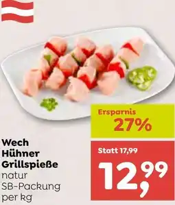 ADEG Wech Hühner Grillspieße Angebot