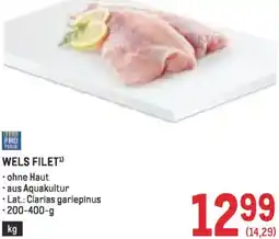 Metro Wels filet Angebot