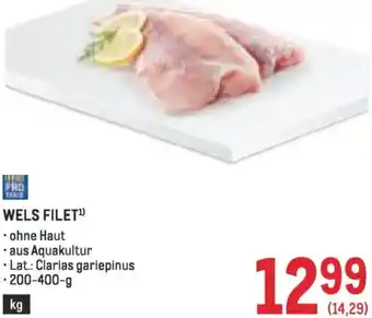 Metro Wels filet Angebot