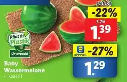 Lidl Baby Wassermelone Angebot