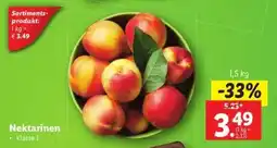 Lidl Nektarinen Angebot