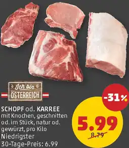PENNY Schopf od. karree Angebot