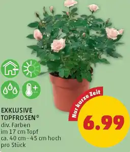PENNY Exklusive topfrosen Angebot
