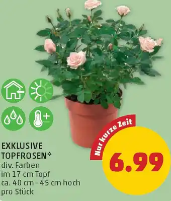 PENNY Exklusive topfrosen Angebot
