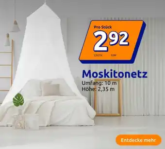 Action Moskitonetz Angebot