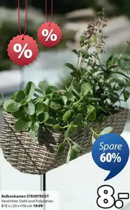 JYSK Balkonkasten STEINTROST Angebot