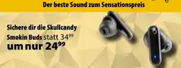 Cosmos Smokin Buds Angebot