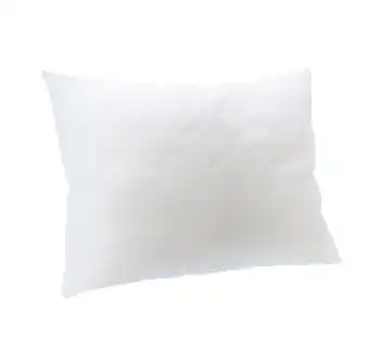 Reiter Polster „Top Cool” A2052601 Betten Reiter Angebot