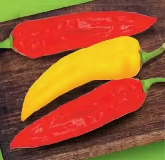 Lidl Spitzpaprika-Mix Angebot